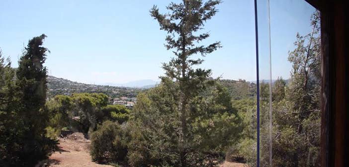 adopt-a-tree-πιλοτικό-πρόγραμμα-του-δήμου-αθη-475697