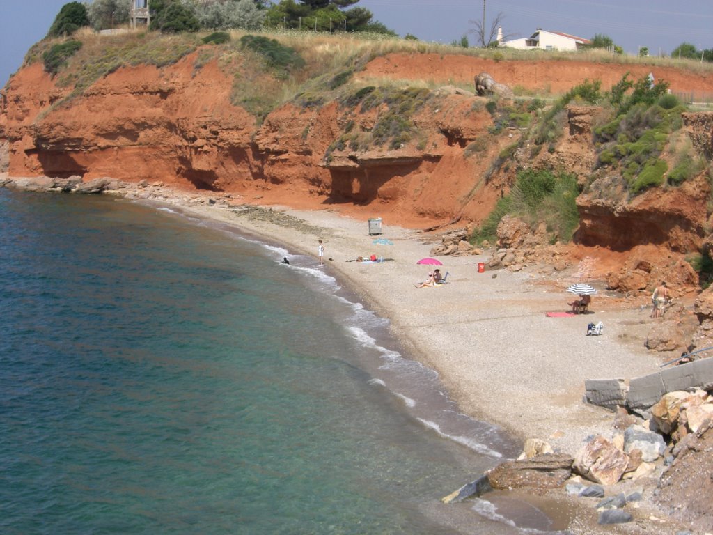 αλεξανδρούπολη-γυναίκα-έπεσε-στο-κεν-477794