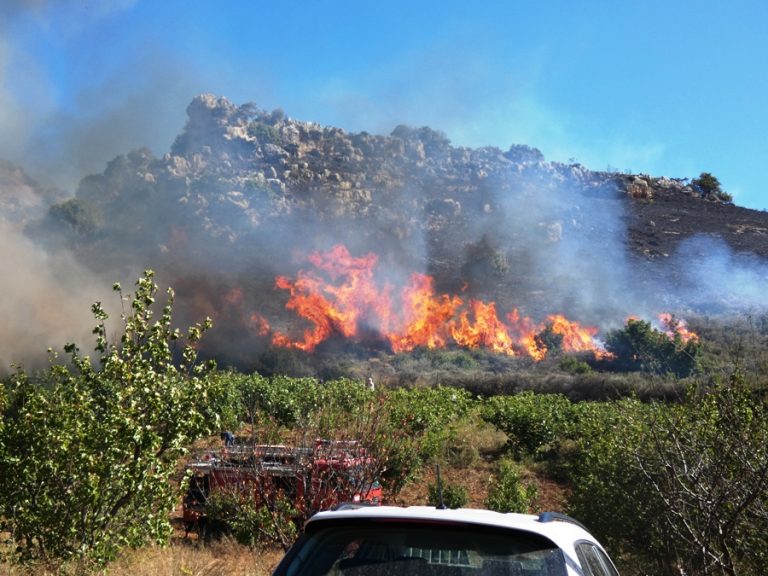 καλόγριες-στα-χανιά-προσπαθούν-να-στα-502834