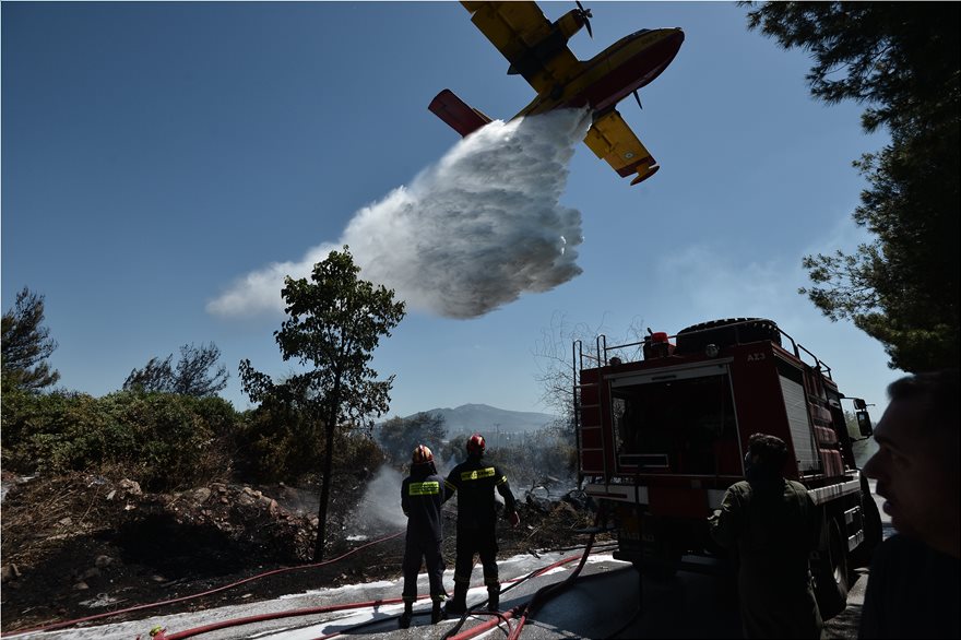 φωτιά-άλσος-συγγρού-ένα-canadair-δύο-pzl-ανέλαβ-489863