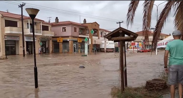 μάνδρα-λύπη-και-αγανάκτηση-για-την-απ-501140