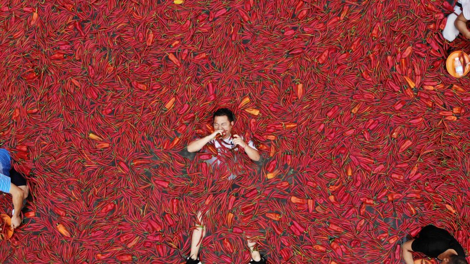 γερό-στομάχι-έφαγε-50-καυτερές-πιπεριές-507323