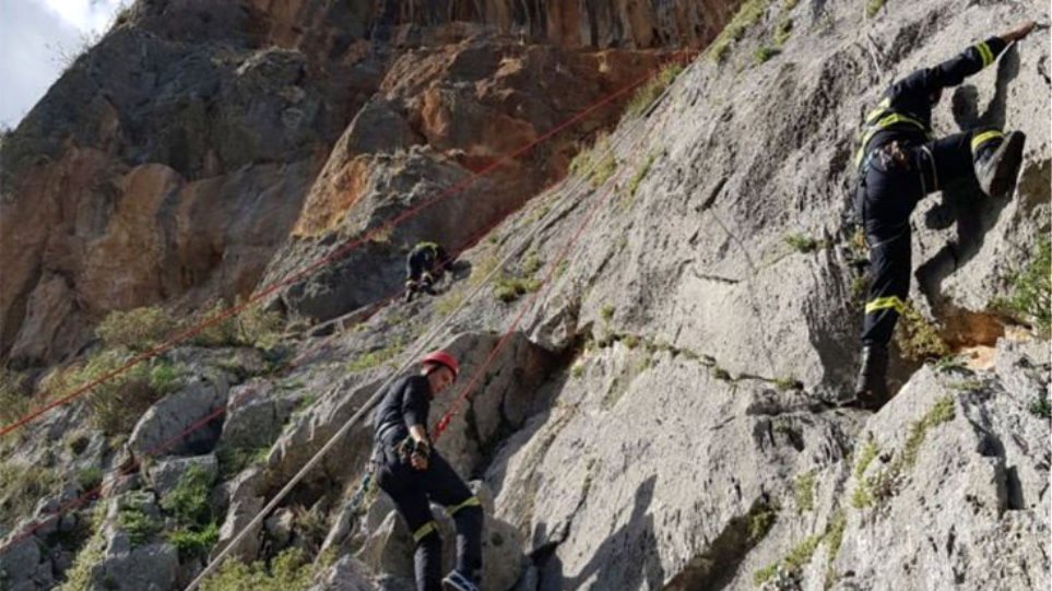 τραγωδία-στο-ξυλόκαστρο-νεκροί-3-πεζοπ-534050