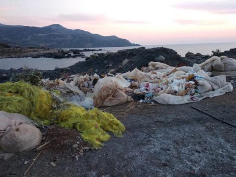 κρήτη-καρχαρίας-σαπίζει-σε-χωματερή-δ-531514