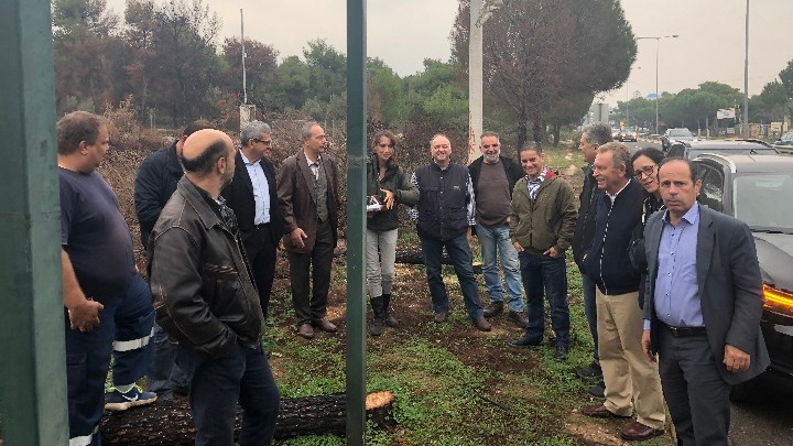 ξεκινάει-η-δεντροφύτευση-του-καμένου-547904