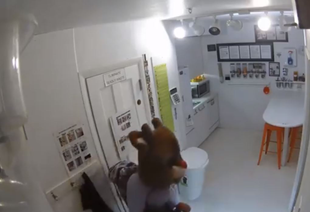 o-ρούντολφ-το-ελαφάκι-έγινεδιαρρήκτ-570365