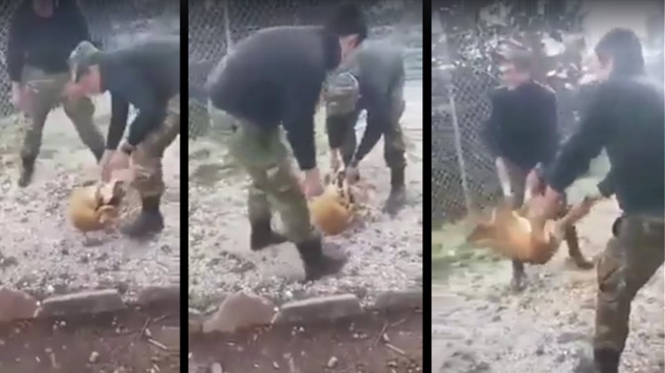 καταδικάστηκαν-οι-νεαροί-που-είχαν-κα-565149