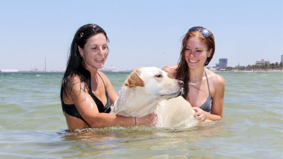 αυστραλία-ο-δεκέμβριος-ήταν-ο-πιο-ζεστ-577944