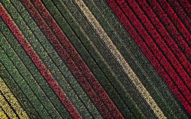 εναέριες-εικόνες-δείχνουν-πόσο-έχει-ε-588014