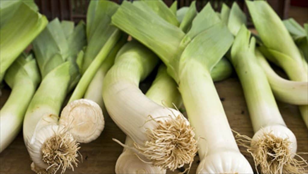 τροφικές-αλλεργίες-τα-παιδιά-να-τρώνε-592043