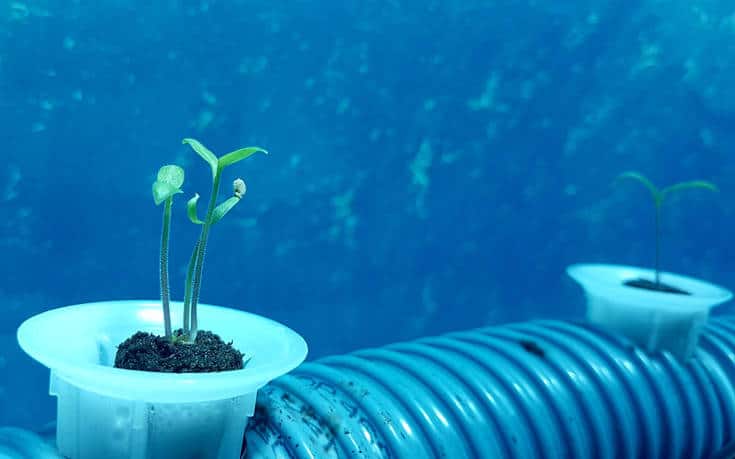 η-πρώτη-υποθαλάσσια-φάρμα-παγκοσμίως-593158