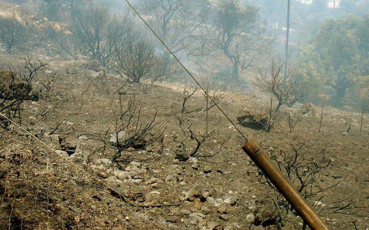 στάχτη-έγιναν-80-στρέμματα-στην-ιεράπετ-608077