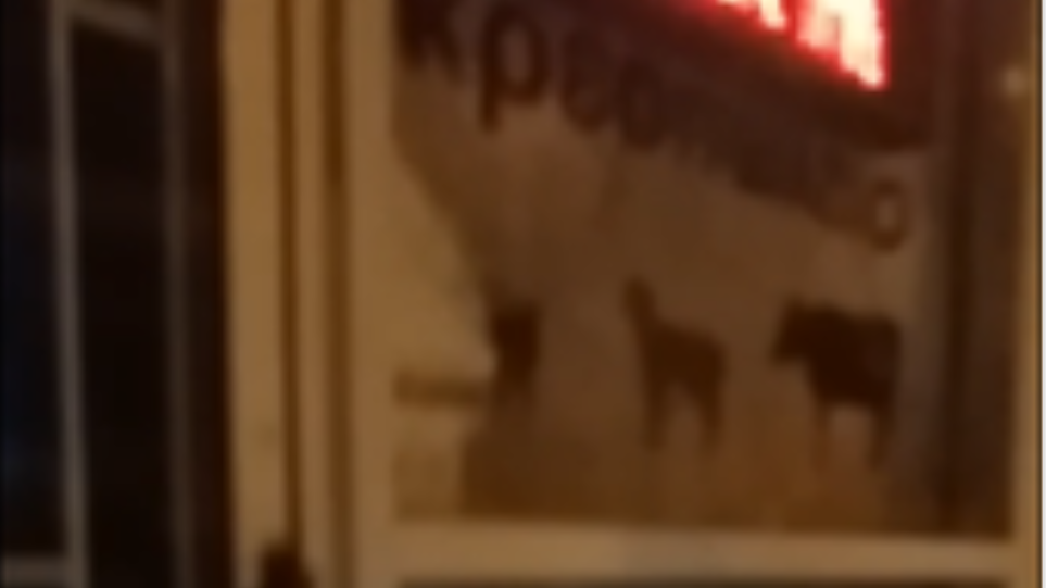 τα-πασχαλινα-σφυριά-έσπασαν-βιτρίν-620640