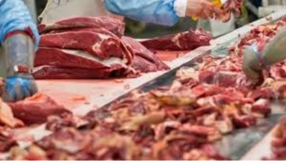 κατάσχεση-ακατάλληλου-κρέατος-σε-επι-616032