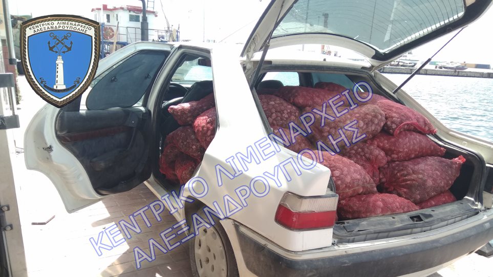 κατέσχεσαν-έναν-τόνο-ακατάλληλα-όστρ-629751