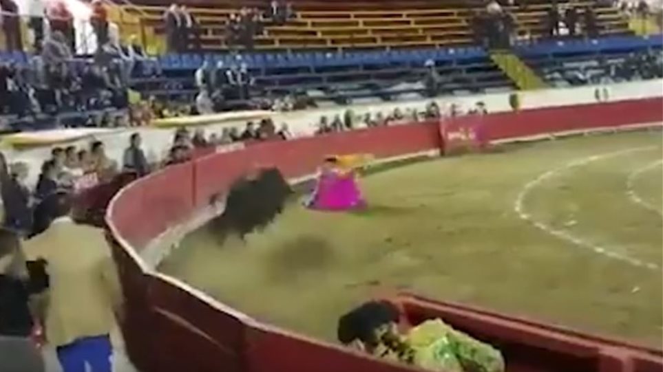 ταύρος-έσπασε-το-σαγόνι-γυναίκας-ταυρ-624222