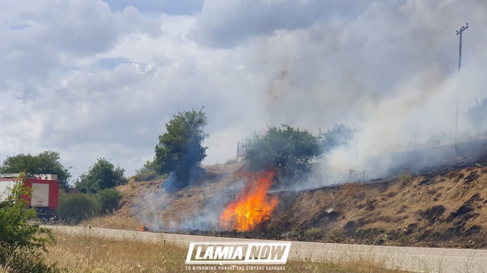λαμία-φωτιές-σε-δίβρη-αγία-άννα-μεταλ-653836