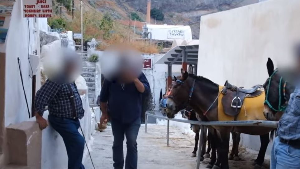 σαντορίνη-φιλόζωοι-καταγγέλλουν-ξυλ-656843
