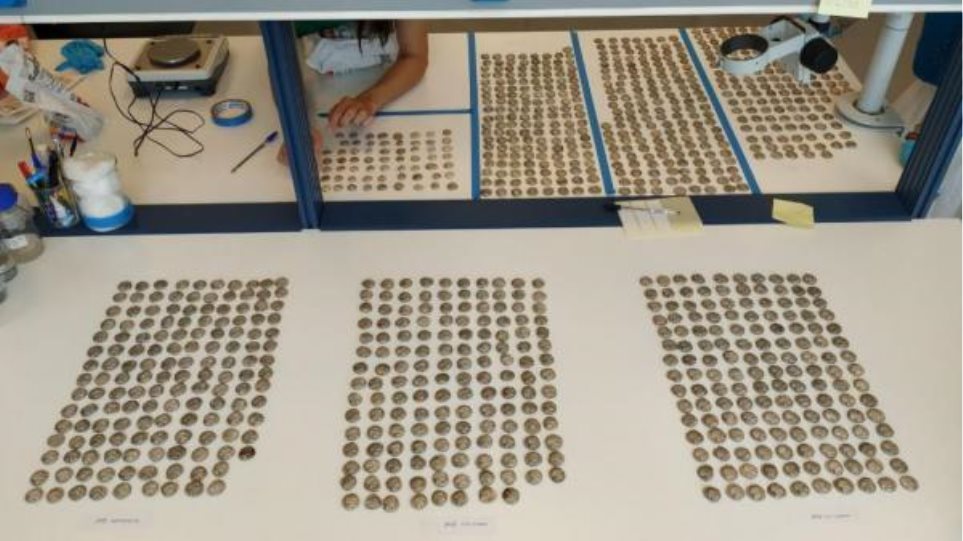 ααδε-αρχαία-ελληνικά-νομίσματα-από-τη-652964