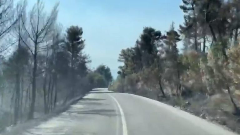 κρανίου-τόπος-η-εύβοια-συγκλονιστικά-667329