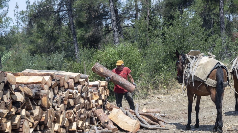 δήμαρχος-νεάπολης-συκεών-καλεί-τον-χ-666788