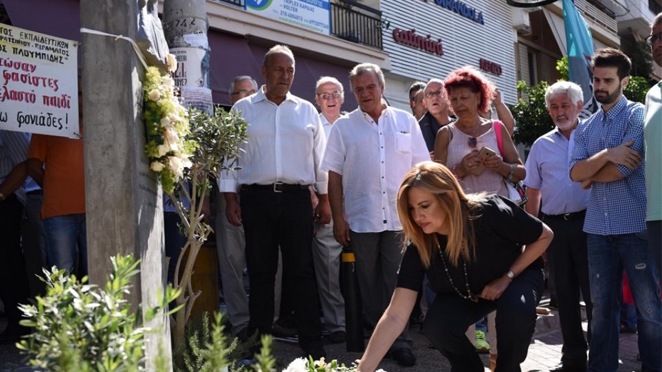 γεννηματά-για-φύσσα-έξι-χρόνια-πέρασα-680292