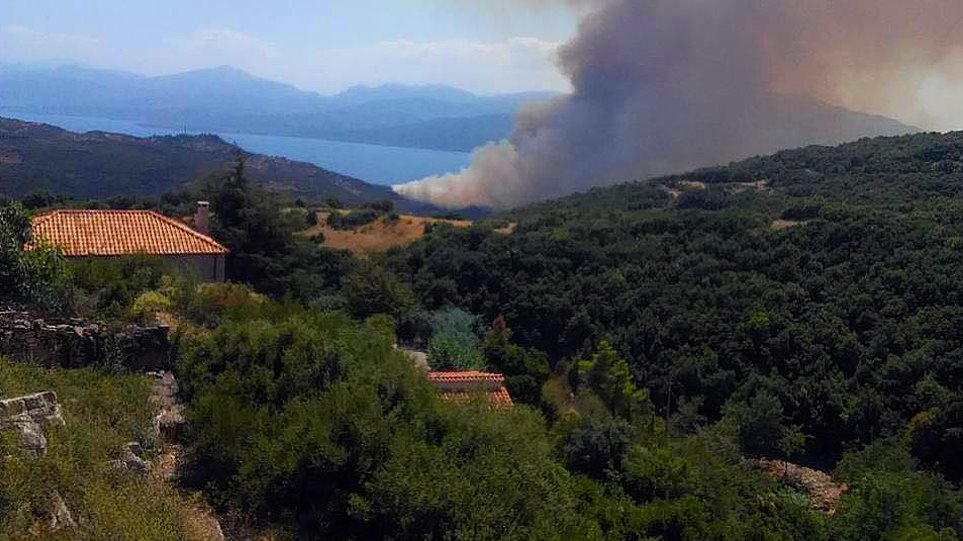 οριοθετήθηκε-η-φωτιά-στο-ευπάλιο-φωκί-672744