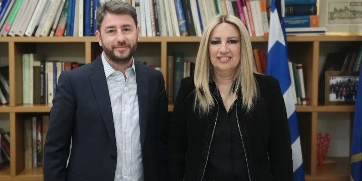 πασοκ-συνάντηση-γεννηματά-με-ανδρουλ-694654