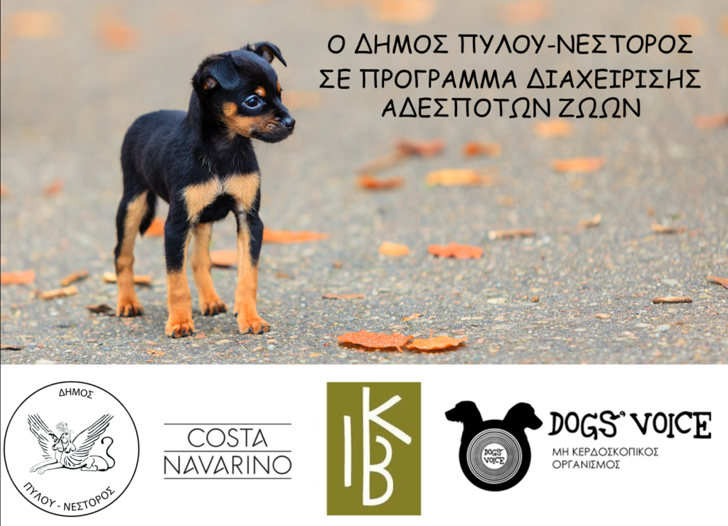 ο-δ-πύλου-νέστορος-αναλαμβάνει-δράση-γ-703271