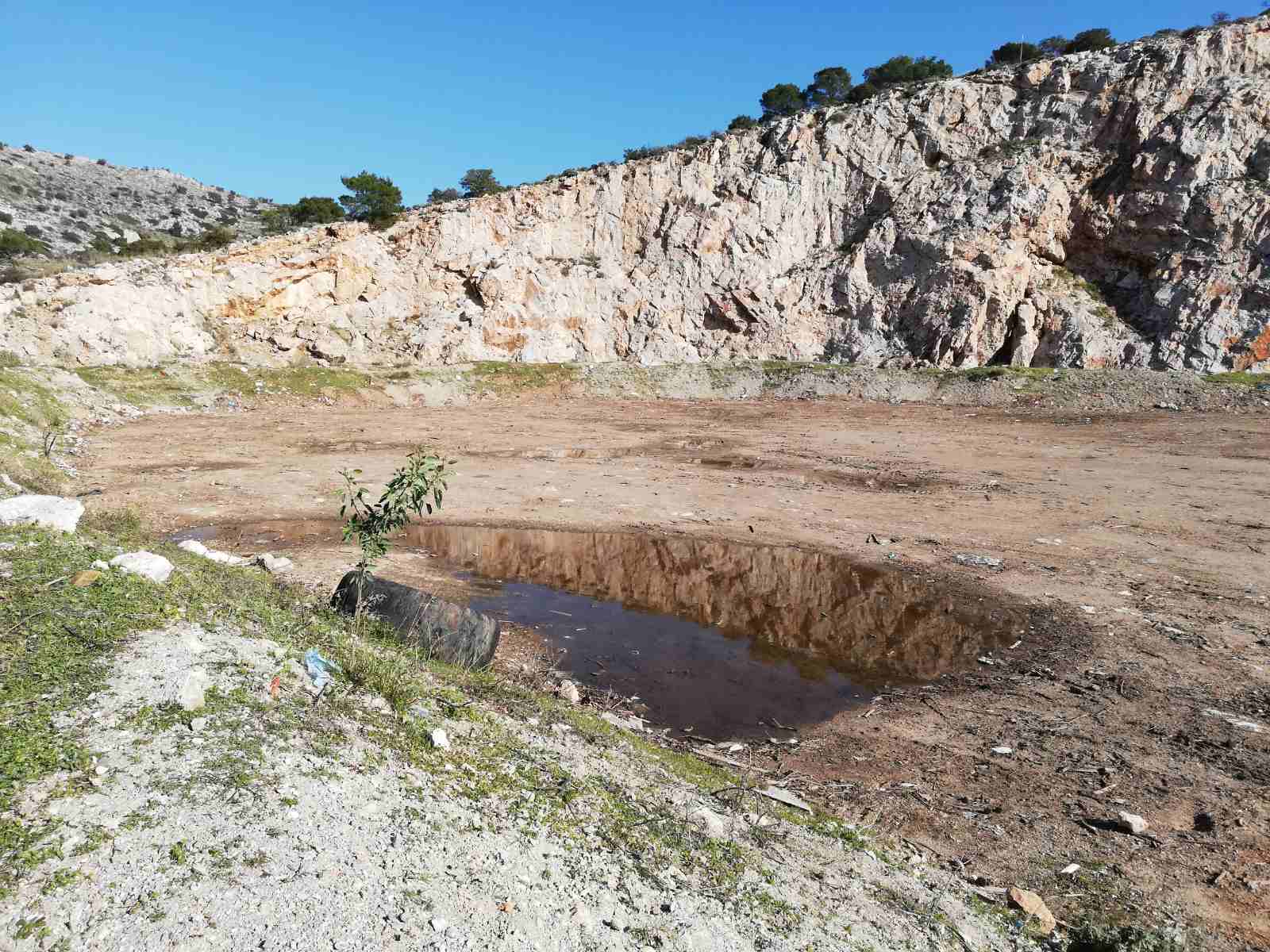 κίνδυνος-για-νέα-μάνδρα-αλλά-για-τον-χα-722627