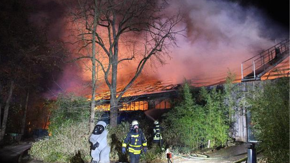 γερμανία-φαναράκια-κινεζικής-προέλε-718775