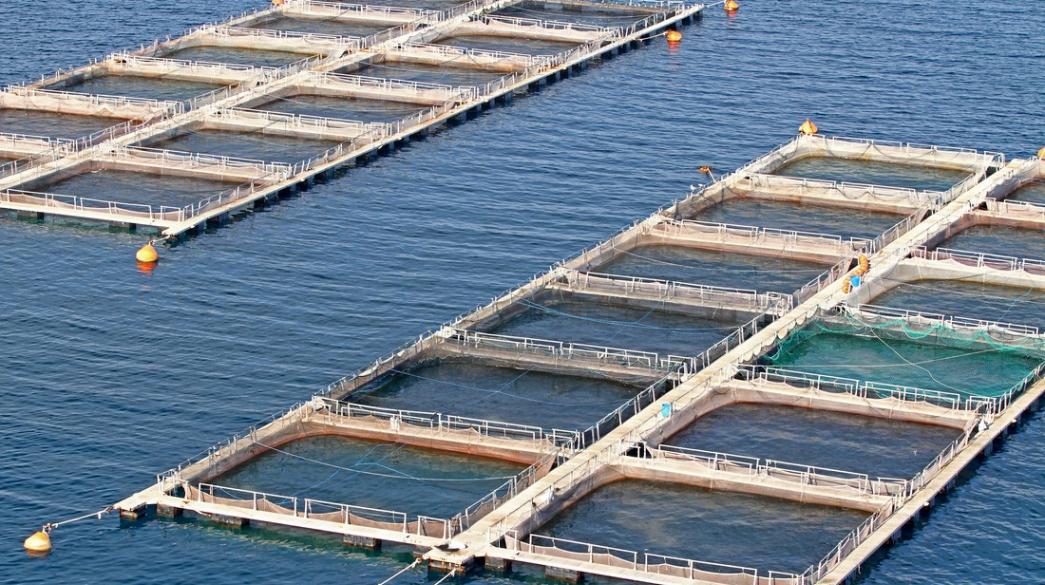 ξεκινά-νέο-ειδικό-χωροταξικό-για-τις-υ-737574