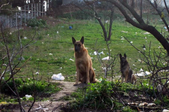 θεσσαλονίκη-την-προσοχή-των-πολιτών-γ-757781