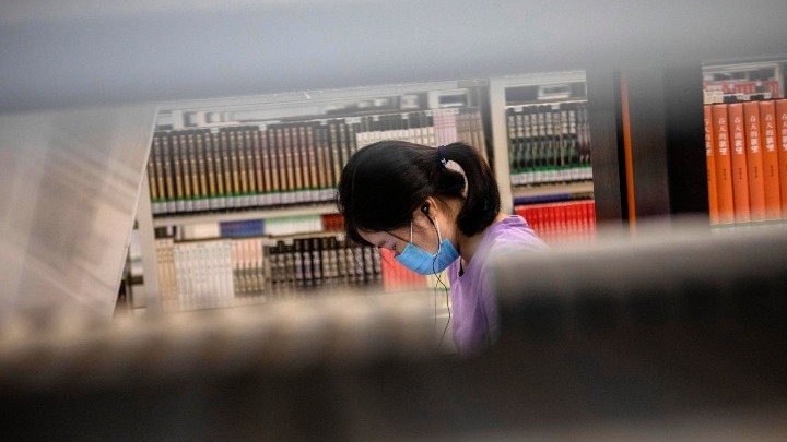 κορωνοϊός-τεστ-σε-χάμστερ-αποδεικνύο-777514