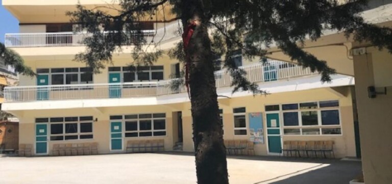 πατέρας-επιτέθηκε-με-μπουνιές-σε-λυκε-802253