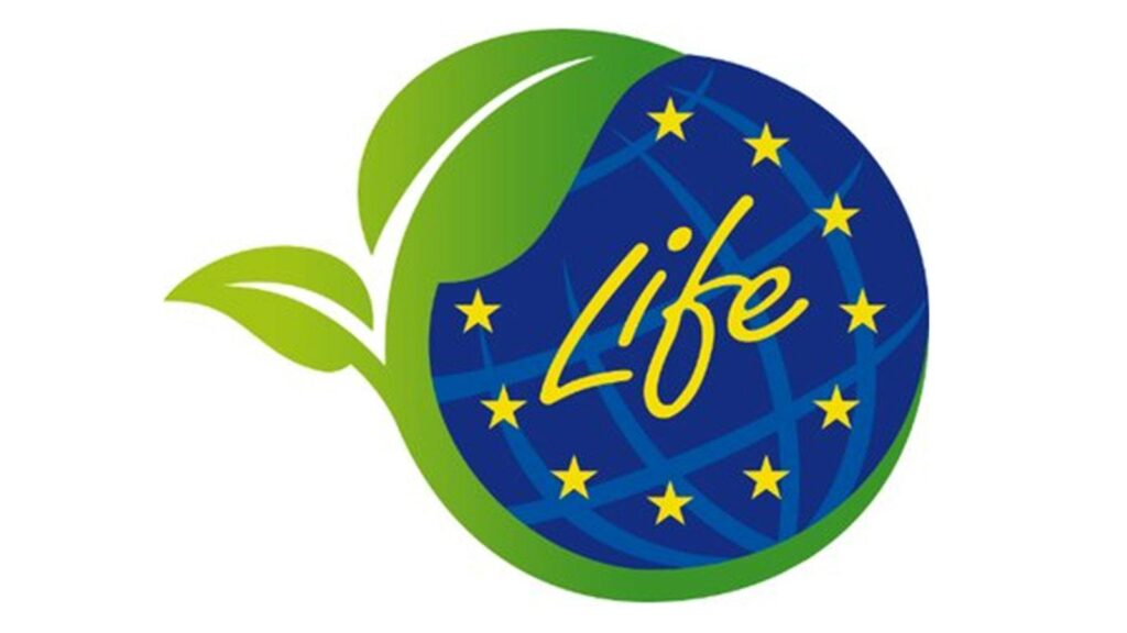 στην-τελική-ευθεία-η-υποβολή-προτάσεω-794877