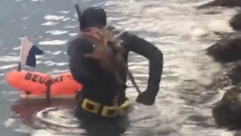 viral-ψαροντουφεκάς-έπιασε-χταπόδι-και-το-800132