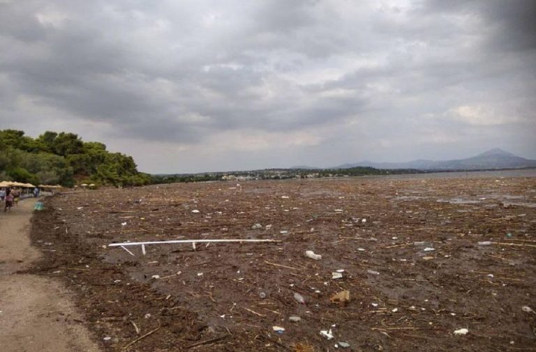 σε-κατάσταση-έκτακτης-ανάγκης-η-κοινό-809510