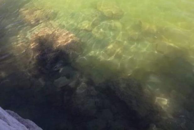 μαράθι-το-νερό-της-θάλασσας-έγινε-πρά-814715