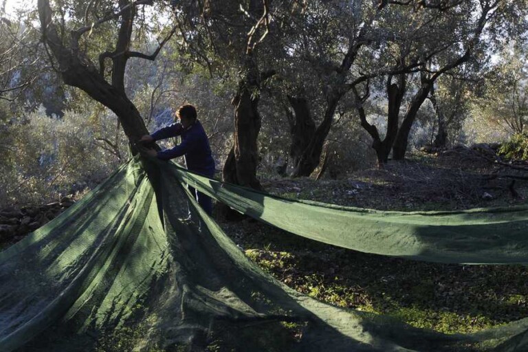 πρόγραμμα-νέων-γεωργών-τι-γίνεται-μ-833275