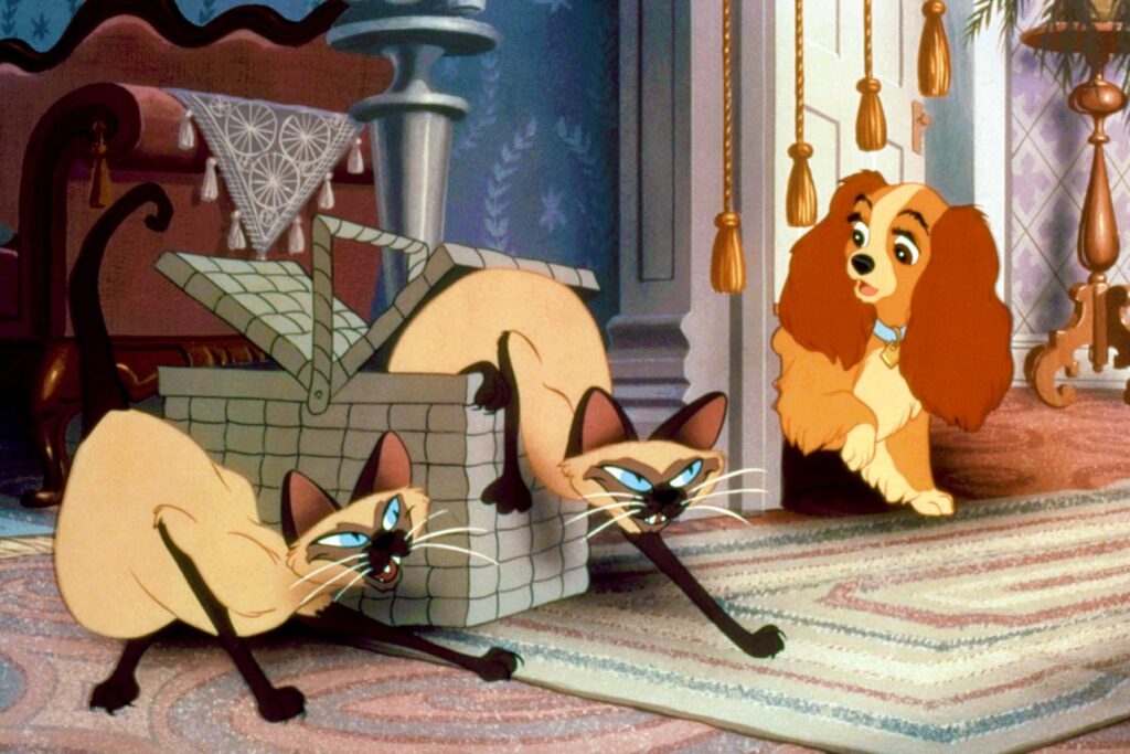 η-disney-προειδοποιεί-για-το-ρατσιστικό-περ-832939