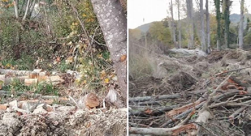 βίτωλη-μακρακώμης-καταγγελία-κατοίκ-847446