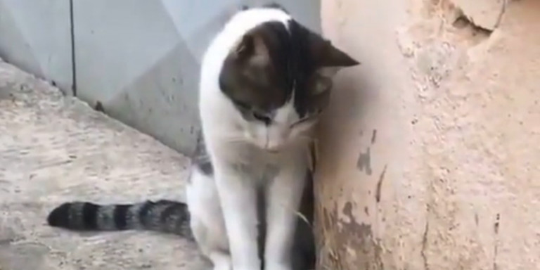 κομοτηνή-η-φρικιαστική-στιγμή-που-14χρο-854506