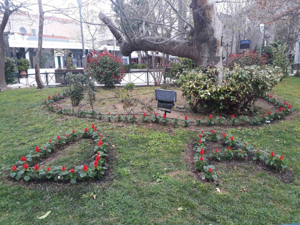 καθαριότητα-απολυμάνσεις-και-συντήρ-890309