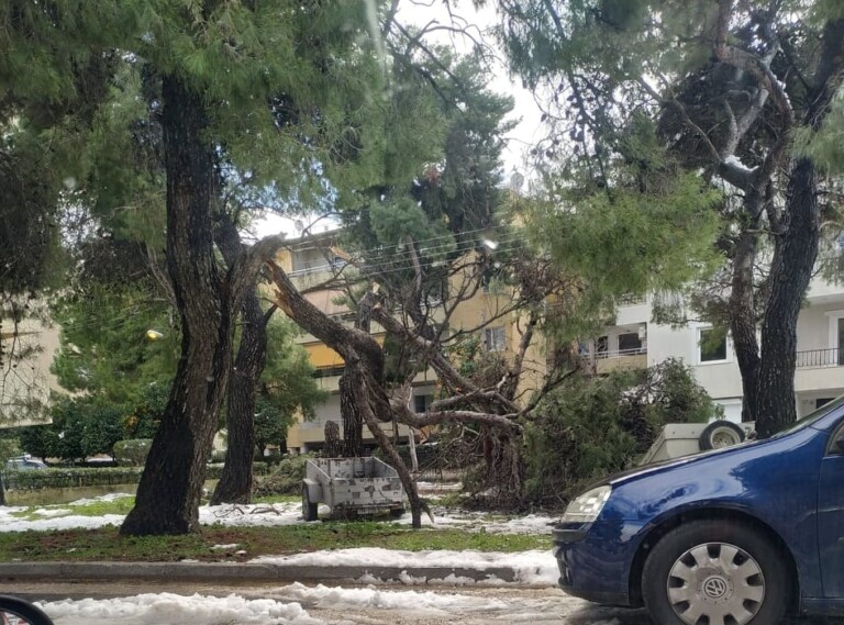 255-τόνοι-κλαδεμάτων-στο-δ-χαλανδρίου-με-882008
