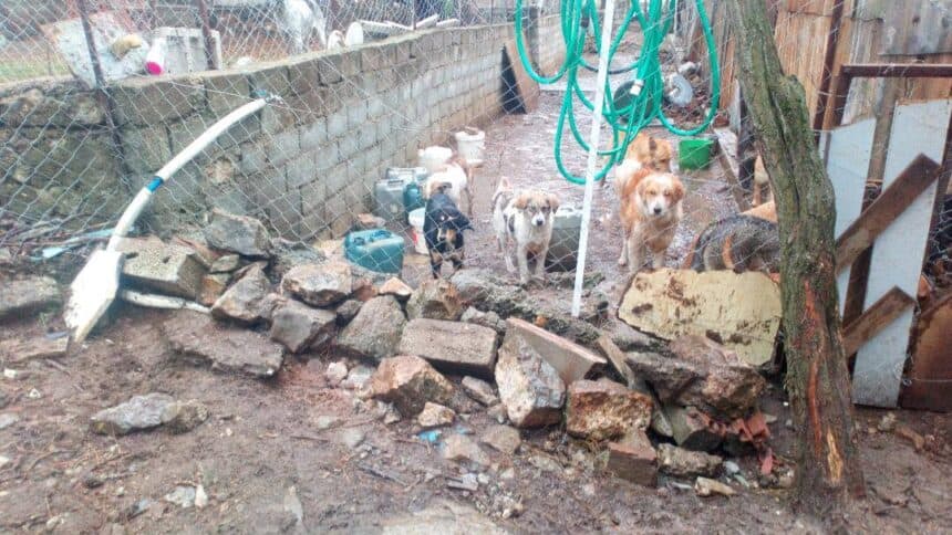 πφπο-κατά-δ-σιάτιστας-για-βάρβαρες-συμ-902039