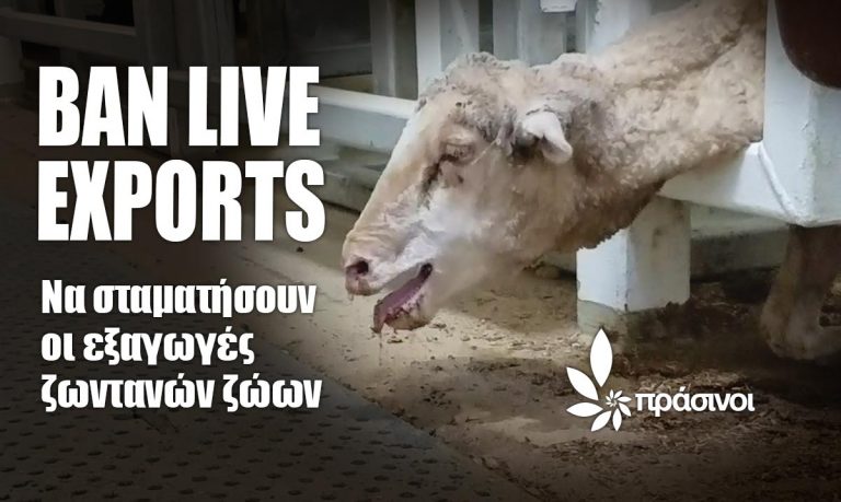υπερψηφίστηκε-στο-ευρωκοινοβούλιο-κ-912761