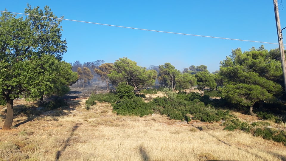φωτιά-σε-εξέλιξη-στον-περιφερειακό-τη-922695