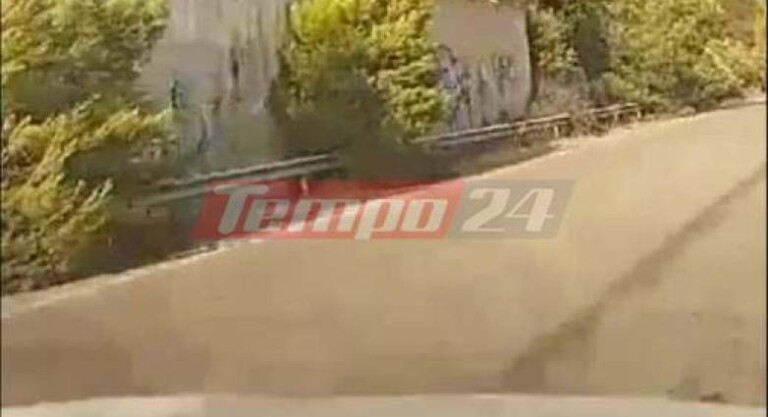ηλεία-αγωνιώδης-έκκληση-αστυνομικών-8-930461