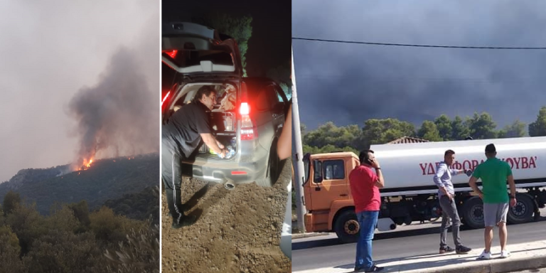 δ-φυλής-καθοριστικός-ο-ρόλος-στην-κατά-930600